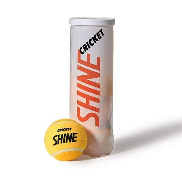 Shine Cricket Balls