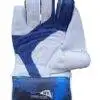 SS Reserve Edition Wicket Keeping Gloves - Image 2