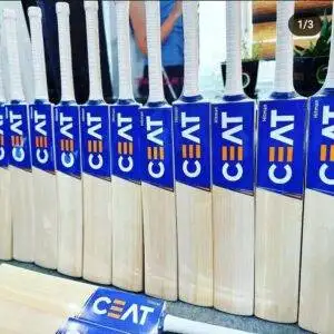 ceat-hitman-kashmir-willow-bat.