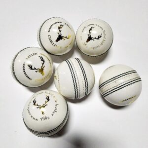 Antler Hitech cricket Ball