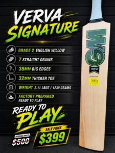 GM Verva Signature Cricket Bat