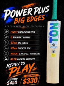 TON Power Plus Cricket Bat